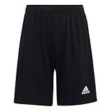 adidas Kids' Entrada 22 Match Shorts, Black, Medium
