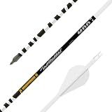 Gold Tip Ted Nugent Arrows with Raptor Vane (Pack of 6), White, 400