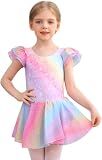 MdnMd Rainbow Dance Ballet Leotard with Skirt for Girls Toddler Ballet Dress Outfit (Age 4-6 / 4t,5t)