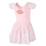 DIPUG Girls Dance Dress Ballet Leotards for Girls Toddler Ballet Outfit Shiny Skirts Ruffle Sleeve and Bow Back Pink Size Kids 4t 5t 6 S