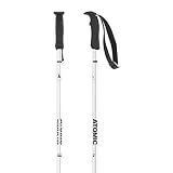 Atomic AMT Ski Poles (Silver, 110cm)