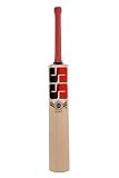 SS T20 Legend Club Kashmir Willow Premium Cricket bat - Size 4