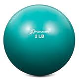 ProsourceFit Weighted Toning Exercise Balls for Pilates, Yoga, Strength Training and Physical Therapy, 2 lb, Aqua