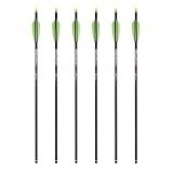 TenPoint Pro Elite 400 Carbon Crossbow Arrows - 20", Pack of 6 - with Alpha-Nock HP & HP Aluminum Bushing