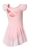 DIPUG Ballet Leotards for Girls Toddler Dance Leotard Flutter Sleeve and Criss-Cross Back Pink Size 4-6