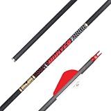 Gold Tip Hunter Arrows with Raptor Vane (Pack of 6), Black, 400