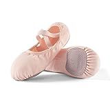 Dance Women's Ballet Shoes Stretch Canvas Dance Slippers Split Sole for Girls/Adult, Size 6.5, Pink