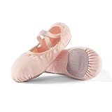 Dance Women's Ballet Shoes Stretch Canvas Dance Slippers Split Sole for Girls/Adult, Size 8.5, Pink