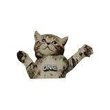 One Mfg Flying Cat Snowboard Stomp Pad 6" x 4" - Lightweight, Anti-Slip, Traction