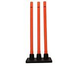 PUMA Mens FUTURE RB Cricket Stumps, Red (5438001)