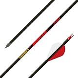 Gold Tip Hunter Arrows with Raptor Vane (Pack of 6), Black, 340