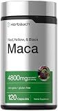 Horbäach Maca Root Capsules for Men and Women | 120 Pills