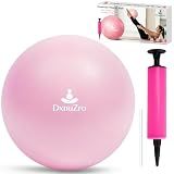 DxnuZro 9" Pink Mini Pilates Yoga Ball & Air Pump for Core Balance Training