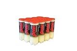 Penn Championship Tennis Balls - Regular Duty Felt Pressurized Tennis Balls - 12 Cans, 36 Balls
