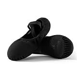 Dance Women's Ballet Shoes Stretch Canvas Dance Slippers Split Sole for Girls/Adult, Size 8, Black