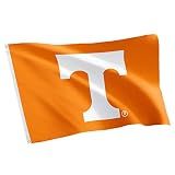 Desert Cactus University of Tennessee UT Volunteers Flag 3x5 Outdoor (#1)