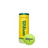 WILSON Championship Tennis Balls - Regular Duty, Single Can (3 Balls)