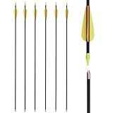 28 Inch Target Archery Arrows - Recurve Bow Youth Practice Fiberglass Arrows for Beginners Kids Women Outdoor (Pack of 6)