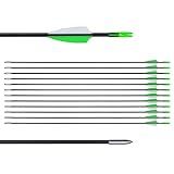 31" Training Arrows-Archery Practice Target Arrows for Youth or Beginners