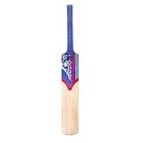 Kashmir Willow Leather Ball Cricket Bat, Exclusive Cricket Bat for Adult Full Size with Full Protection Cover