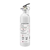 Kidde Fire Extinguisher for Boats, Single-Use 5BC