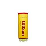 WILSON Championship Tennis Balls - Extra Duty, Single Can (3 Balls)