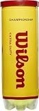 WILSON Championship Tennis Balls - Extra Duty, Single Can (3 Balls)