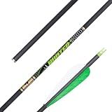 Gold Tip Hunter XT Arrows with Raptor Vane (Pack of 6), Black, 300