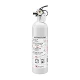 Kidde Fire Extinguisher for Boats, Single-Use 5BC