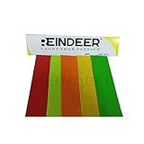 REINDEER Cricket Bat Protection Toe Guard l Sports Accessory Bat Protection Guard (10)