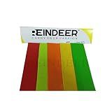 REINDEER Cricket Bat Protection Toe Guard l Sports Accessory Bat Protection Guard (10)