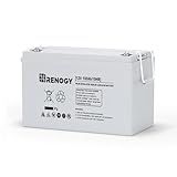 Renogy Deep Cycle AGM 12 Volt 100Ah Battery, 3% Self-Discharge Rate, 1100A Max Discharge Current, Safe Charge Appliances for RV, Camping, Cabin, Marine and Off-Grid System, Maintenance-Free