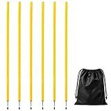6 Pcs 5FT Adjustable Agility Training Poles, Stainless Steel Ground Nails