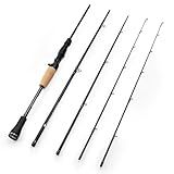 KastKing Spartacus Passage Travel Fishing Rods, Portable 4-Piece Spinning & Casting Rods, Extra Twin-Tip, IM7 Graphite Blanks, Stainless Steel Guides with Zirconium Oxide Rings, EVA Handle