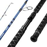 KastKing Kapstan Saltwater Spinning Rod, 12'0", H