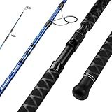 KastKing Kapstan Saltwater Spinning Rod, Boat & Surf Fishing Rod, Lightweight S-Curve Graphite Blanks, Stainless-Steel Double-Foot Guides, Aluminum/Graphite Locking Reel Seat, 2-Piece PTS Rod