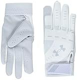 Under Armour Girls Radar Softball Gloves , (100) White / White / Halo Gray , Medium