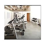 Delma Home Gym Mirror, 54''x30''x2PCS, Large Full Body Glass for Yoga, Frameless Wall Mounted, for Garage, Bedroom, Bathroom (Glass - 54'' x 30'' - 2PCS)