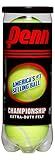Penn Championship Extra Duty Felt Tennis Balls - 6 Cans, 18 Balls, Yellow
