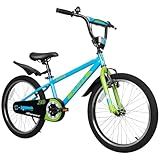 WEIZE Kids Bikes,20 Inch BMX Style Bicycle for Boys Girls,Boy's Bike for Kids Ages 4-12 Years Old,Kids Bicycle with Front and Rear Fender, Training Wheels, Adjustable Seat, Blue