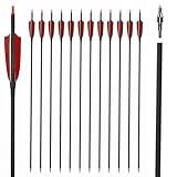 LWANO 30" Carbon Arrows-Archery Target Practice Hunting Arrows with 4" Turkey Feather Spine 500 for Recurve & Long Bow(Pack of 12) (Red Black)
