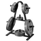 Weight Rack for Home Gym, 400 LB Weight Tree for Olympic 2 Inch Plates