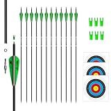 e5e10 31inch Carbon Arrow Archery Targeting Practice Hunting Arrows for Compound & Recurve Bow with Removable Tips(Pack of 12) (Green White)
