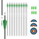31inch Carbon Arrow Archery Targeting Practice Hunting Arrows for Compound & Recurve Bow with Removable Tips(Pack of 12) (Green White)