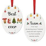 Best Team Ever Christmas Ornament, Team Definition Appreciation Gifts for Coworkers Employees, Office Staff Group Gift, Work Bestie Colleague Thank You Oval Ceramic Keepsake 2026
