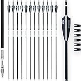 BOWSOUL 31Inch Carbon Arrows for Target Practice Hunting Arrow with Removable Tips for Compound & Recurve Bow(Pack of 12) (Black White)