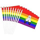 Two-Spirit Pride Flag Small Mini Flags Hand Held Flag Decoration For Party Parades Festival Celebration Ten Piece
