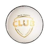 SG Club Leather Ball, Four Pitch (White) Cricket Ball