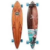 Arbor Skateboard - Fish Groundswell 2019