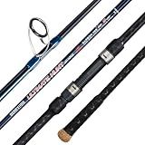 BERRYPRO Surf Spinning Rod Full Carbon Surf Fishing Rod with Fuji Guide (9'/10'/11'/12') (9'-Spinning-2pc)